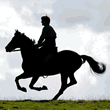War Horse