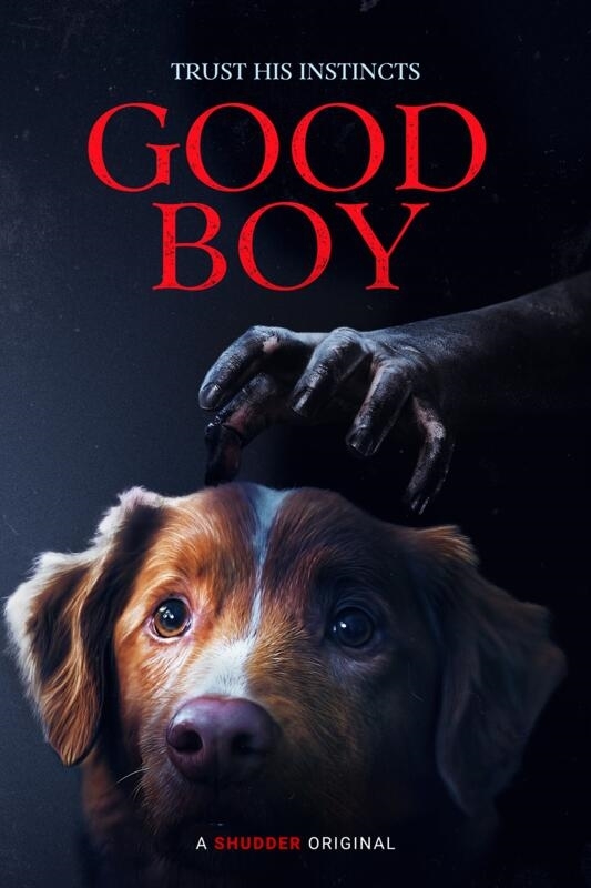 Good Boy